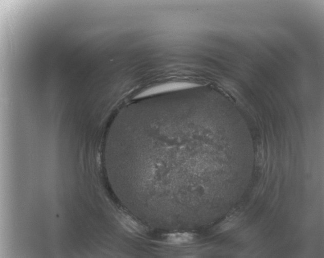 X0000067500363200604150113