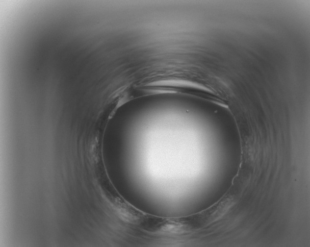 X0000067500364200604150114