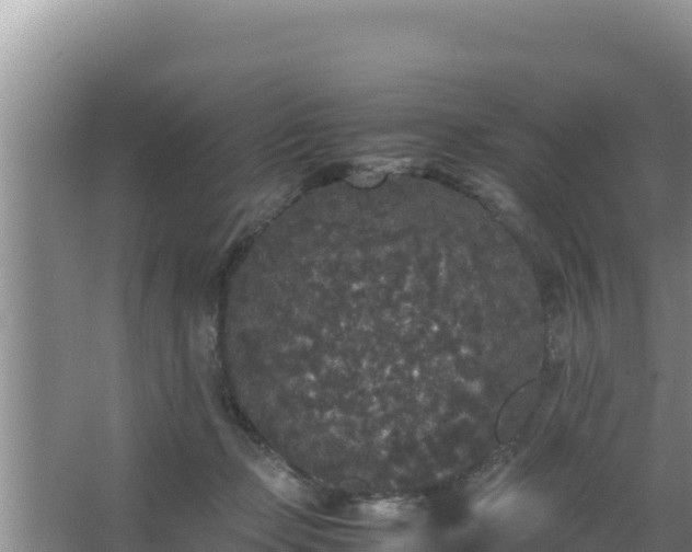 X0000067500365200604150114