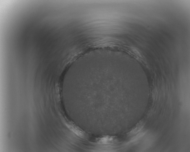 X0000067500366200604150114