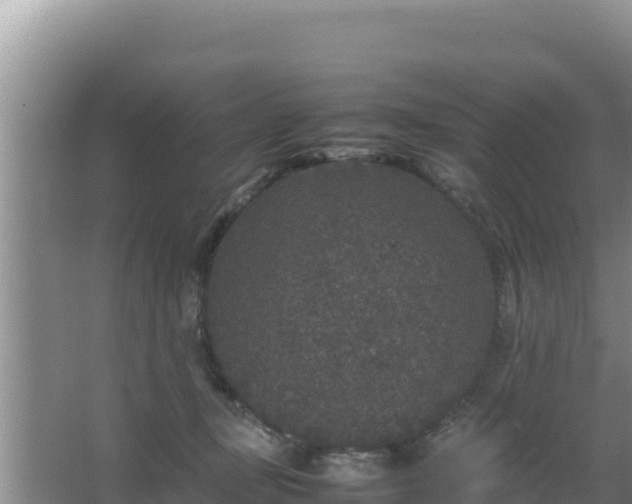 X0000067500367200604150114