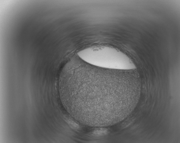 X0000067500369200604150114