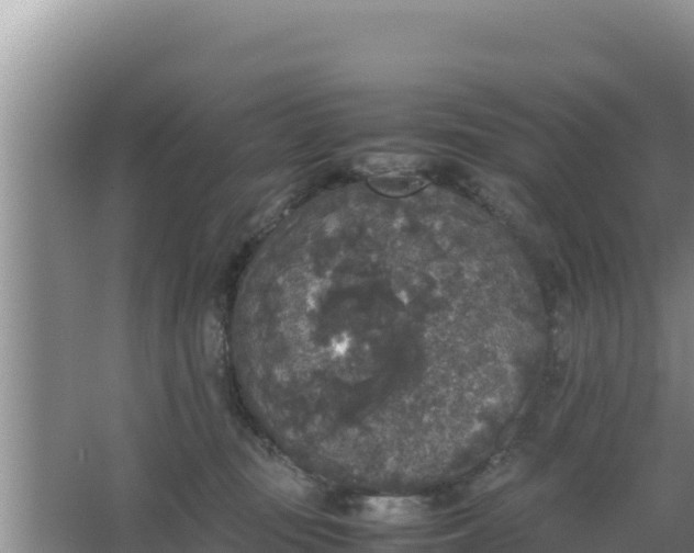 X0000067500371200604150114