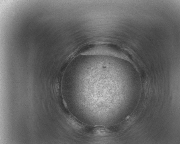 X0000067500372200604150114