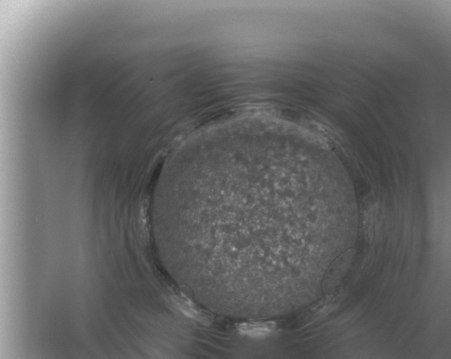 X0000067500373200604150114