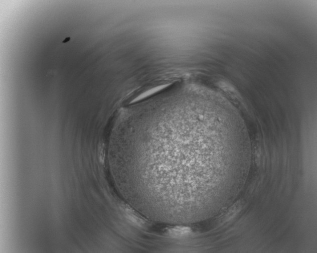 X0000067500374200604150114