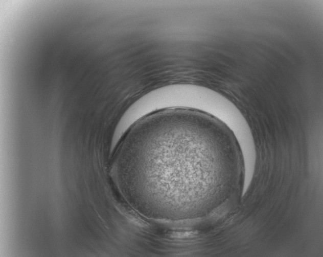 X0000067500375200604150114