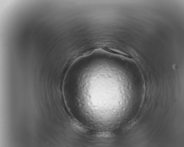 X0000067500377200604150114