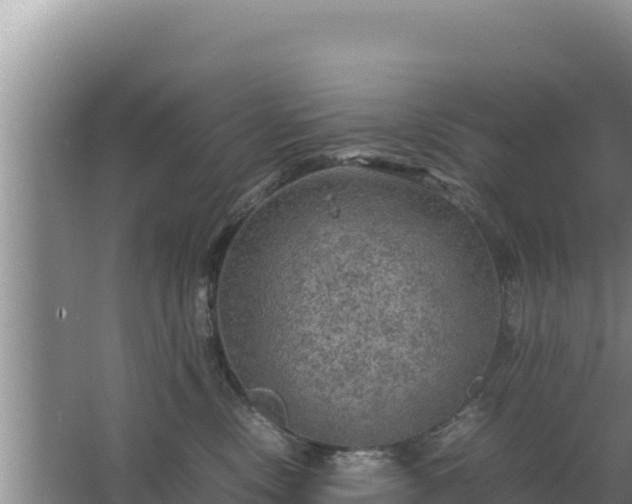 X0000067500378200604150114