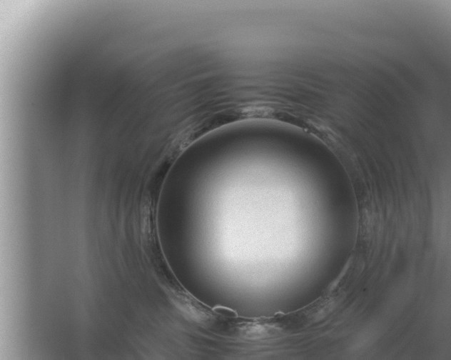 X0000067500379200604150114