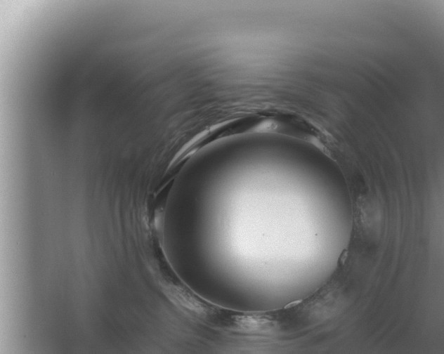 X0000067500380200604150114