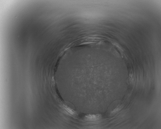 X0000067500381200604150114