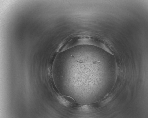 X0000067500382200604150114