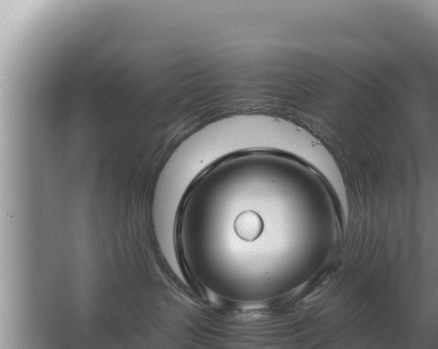 X0000067500383200604150114