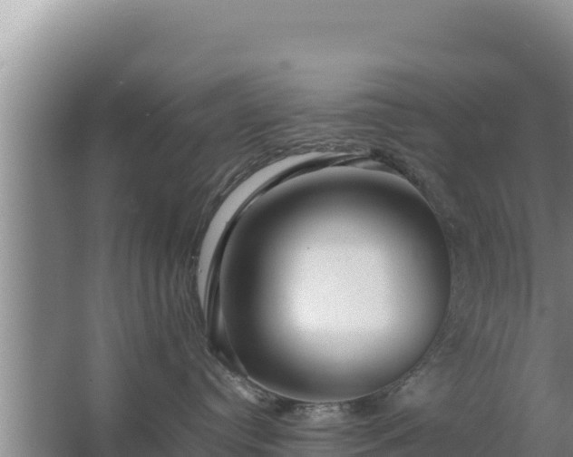 X0000067500384200604150114