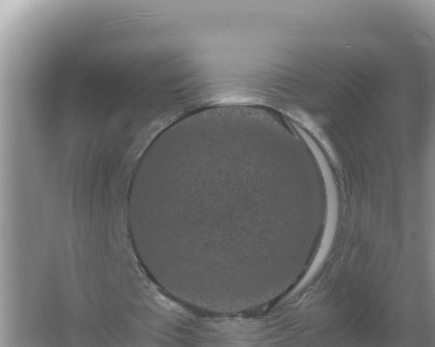 X0000067500385200604150113