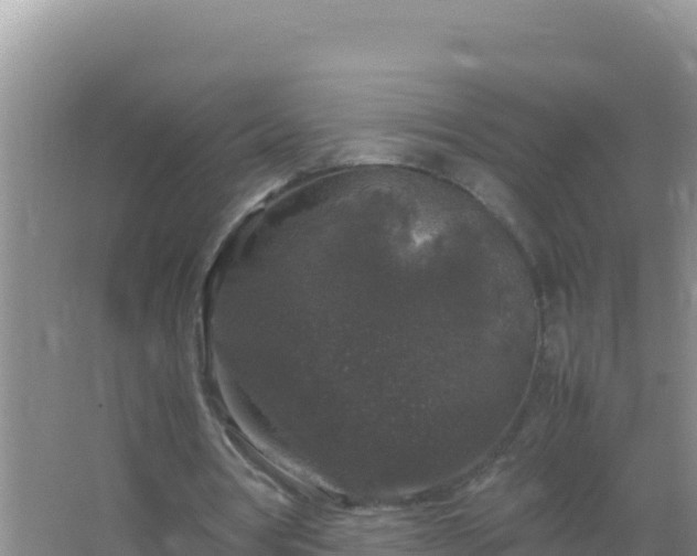 X0000067500386200604150113