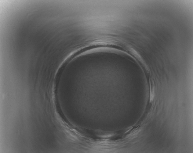 X0000067500387200604150113