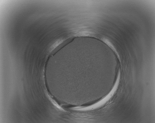 X0000067500389200604150113