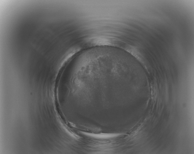 X0000067500390200604150113