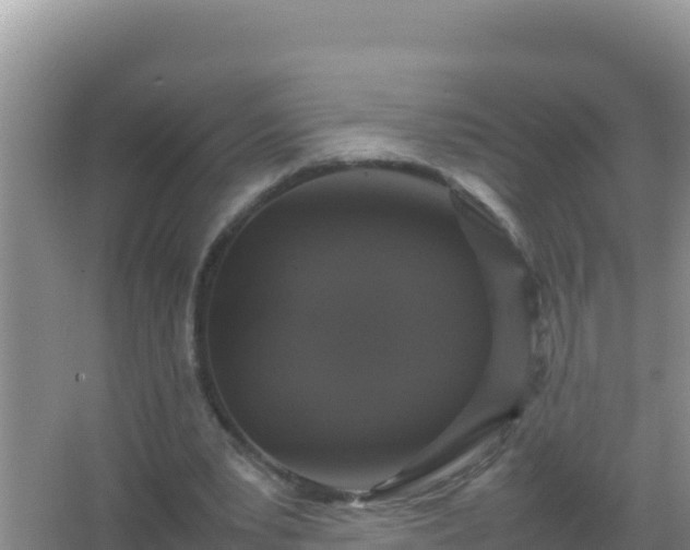 X0000067500391200604150113