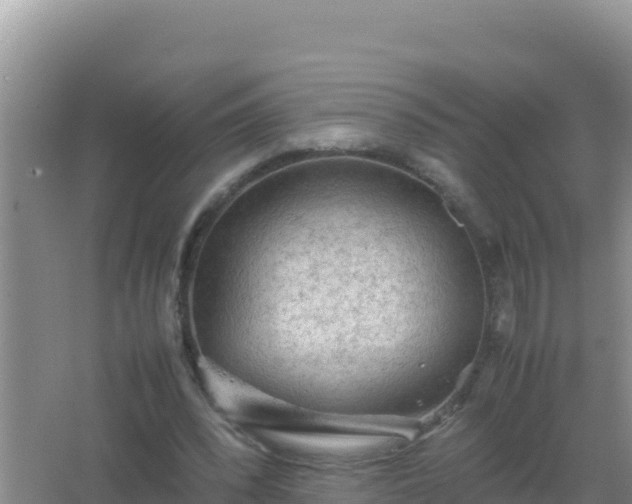 X0000067500392200604150113