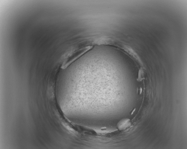 X0000067500393200604150113