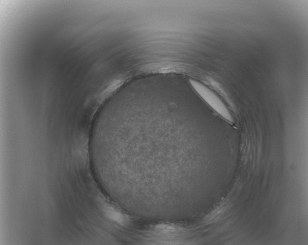 X0000067500394200604150113