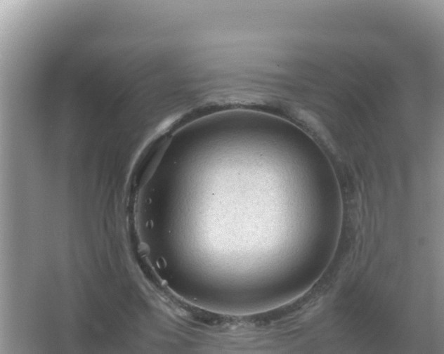 X0000067500395200604150113