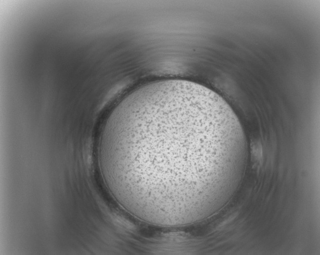 X0000067500396200604150113