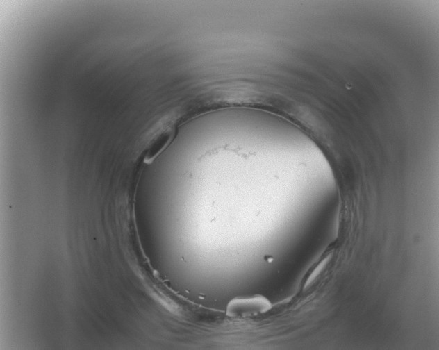 X0000067500397200604150113