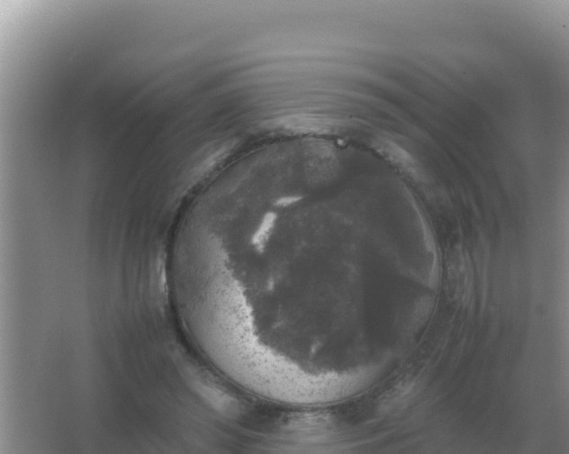 X0000067500398200604150113