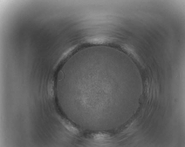 X0000067500400200604150113