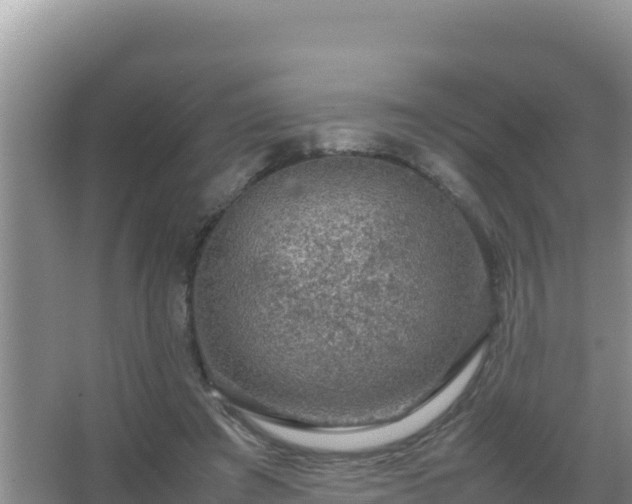 X0000067500401200604150113