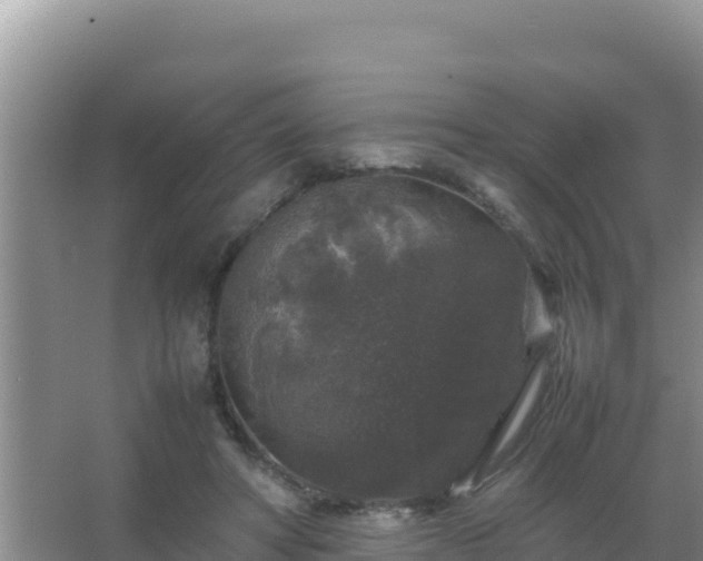 X0000067500402200604150113