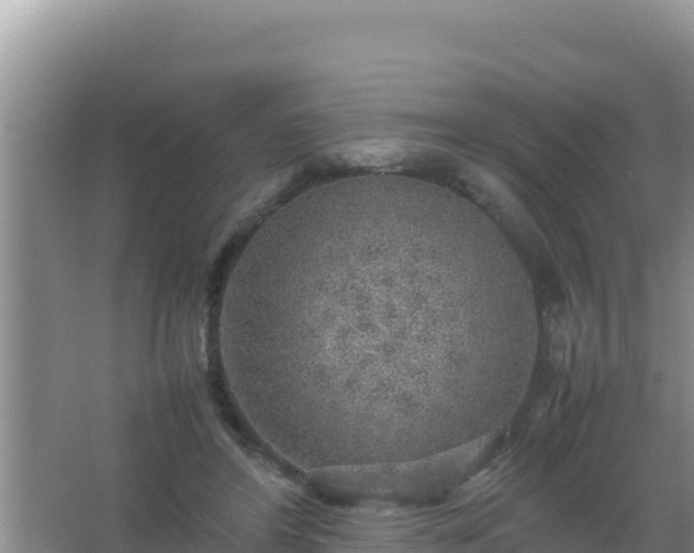 X0000067500404200604150113