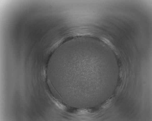 X0000067500405200604150113