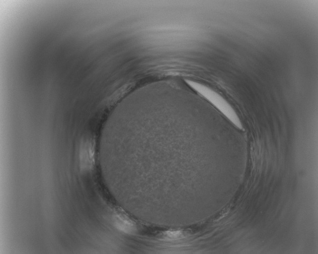 X0000067500406200604150113