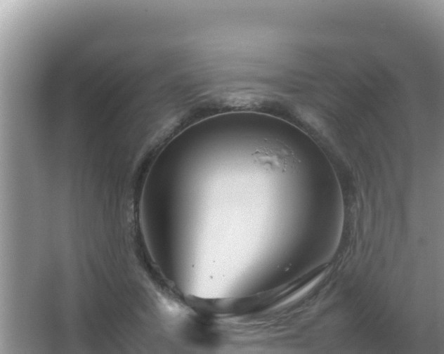 X0000067500407200604150113