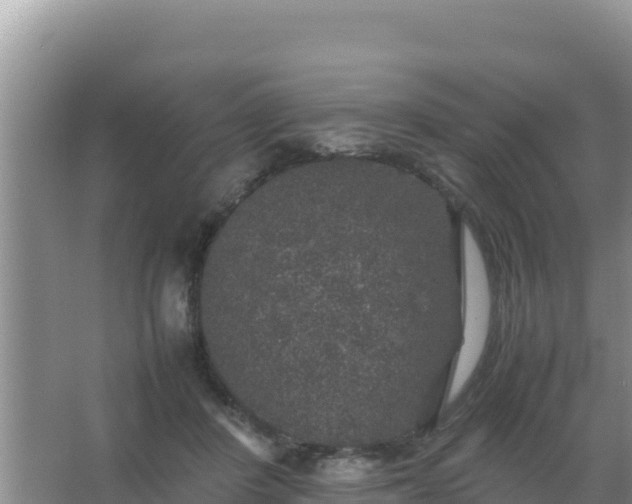 X0000067500408200604150113