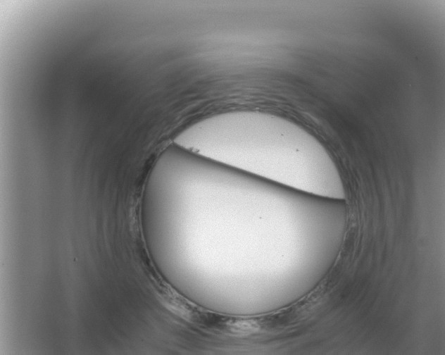 X0000067500409200604150113