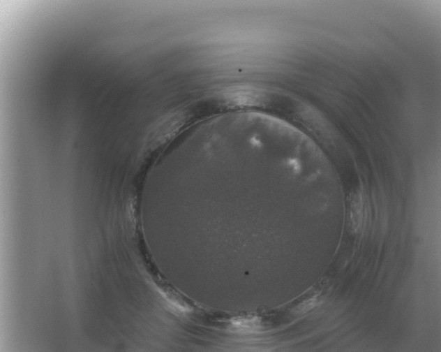 X0000067500410200604150113