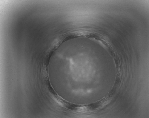 X0000067500411200604150113