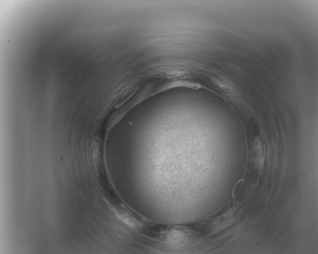 X0000067500412200604150113