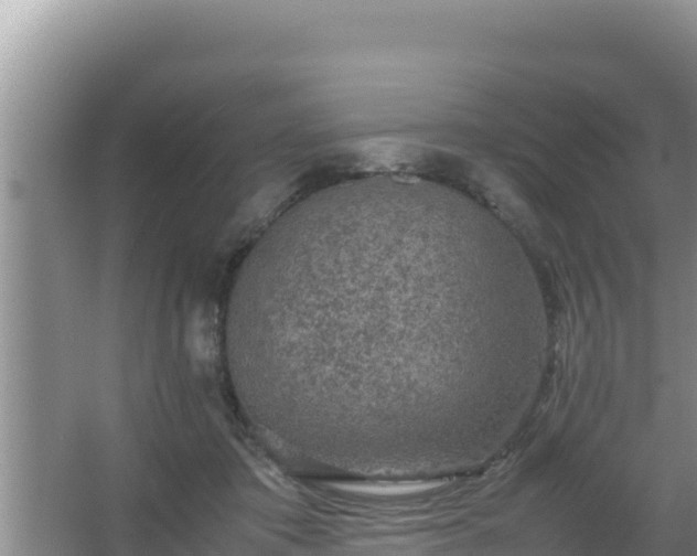 X0000067500413200604150113