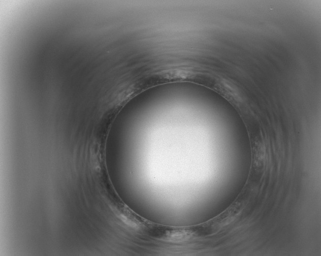 X0000067500414200604150113