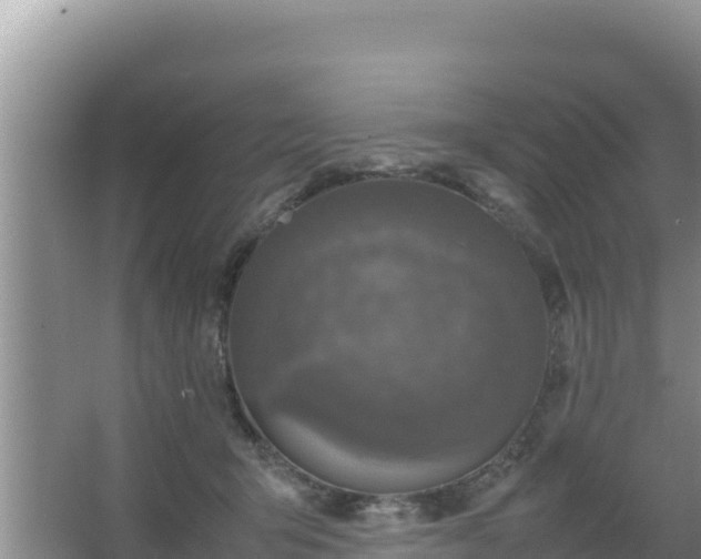 X0000067500415200604150113