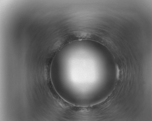 X0000067500416200604150113