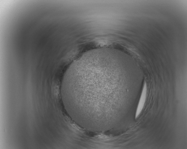 X0000067500417200604150113