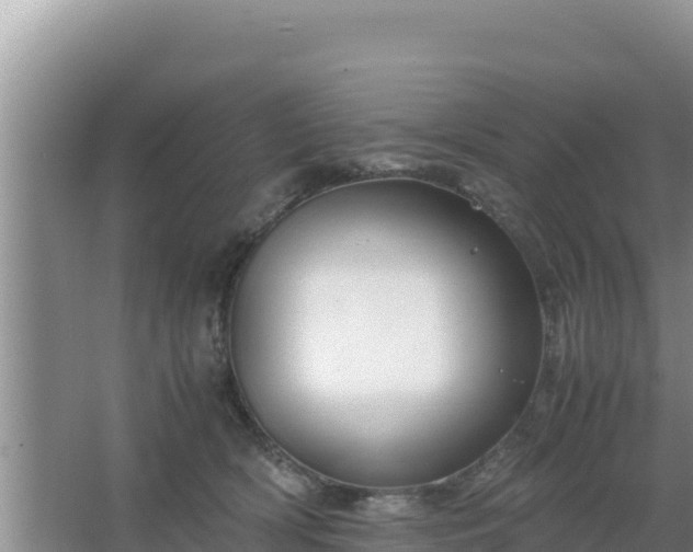 X0000067500418200604150112